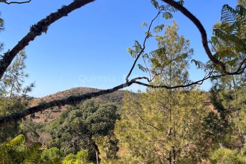 Erhvervsejendom i Ourique, Beja, Ourique - € 380.000 | Ref: PROP-33784 - foto 2