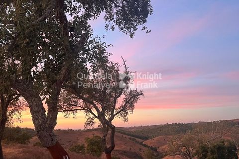 Erhvervsejendom i Ourique, Beja, Ourique - € 380.000 | Ref: PROP-33784 - foto 3