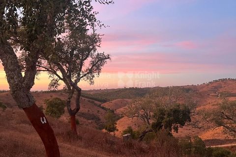 Erhvervsejendom i Ourique, Beja, Ourique - € 380.000 | Ref: PROP-33784 - foto 4