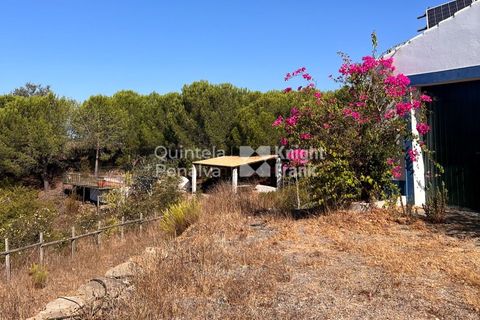 Erhvervsejendom i Ourique, Beja, Ourique - € 380.000 | Ref: PROP-33784 - foto 5