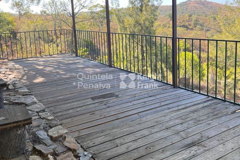Erhvervsejendom i Ourique, Beja, Ourique - € 380.000 | Ref: PROP-33784 - foto 9