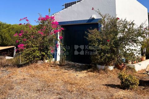 Erhvervsejendom i Ourique, Beja, Ourique - € 380.000 | Ref: PROP-33784 - foto 18