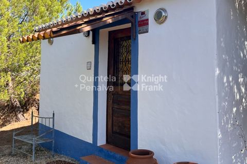 Erhvervsejendom i Ourique, Beja, Ourique - € 380.000 | Ref: PROP-33784 - foto 19
