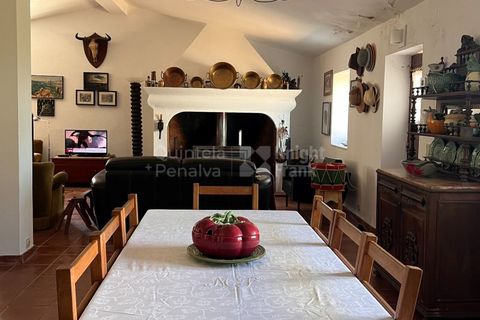 Erhvervsejendom i Ourique, Beja, Ourique - € 380.000 | Ref: PROP-33784 - foto 42