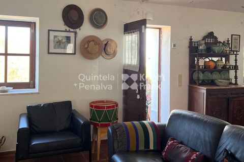 Erhvervsejendom i Ourique, Beja, Ourique - € 380.000 | Ref: PROP-33784 - foto 44
