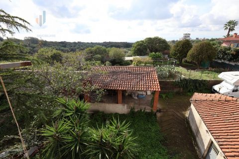 Villa i Mascalucia, Catania, Mascalucia - € 270.000 | Ref: PCCRZO2024 - foto 50