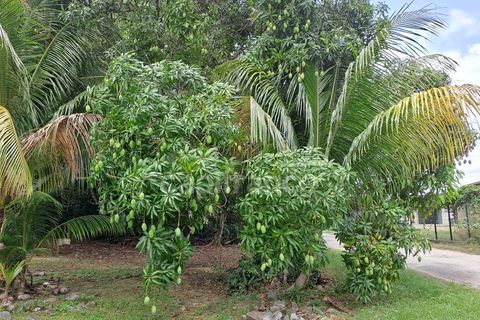 Byhus i Iracoubo, French Guiana, Iracoubo - € 285.000 | Ref: 340936239480 - foto 11