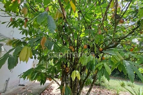 Byhus i Iracoubo, French Guiana, Iracoubo - € 285.000 | Ref: 340936239480 - foto 18