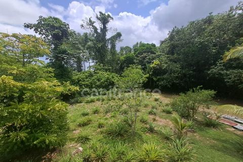 Byhus i Iracoubo, French Guiana, Iracoubo - € 285.000 | Ref: 340936239480 - foto 21