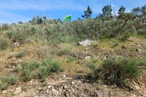 Helårsgrund i Parada do Bispo e Valdigem, Viseu, Parada do Bispo e Valdigem - € 70.000 | Ref: LMG_3819 - N - foto 2