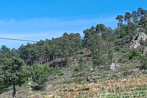 Helårsgrund i Parada do Bispo e Valdigem, Viseu, Parada do Bispo e Valdigem - € 70.000 | Ref: LMG_3819 - N - foto 3