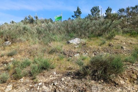 Helårsgrund i Parada do Bispo e Valdigem, Viseu, Parada do Bispo e Valdigem - € 70.000 | Ref: LMG_3819 - N - foto 5
