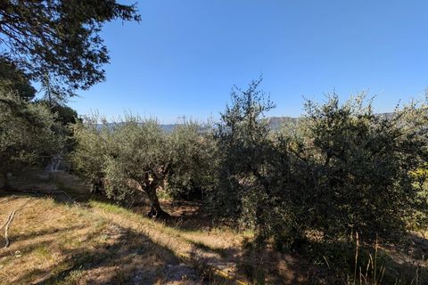 Villa i L'Escarène, Alpes-Maritimes, L'Escarène - € 379.000 | Ref: 86367002 - foto 11