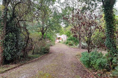 Villa i Saverdun, Ariege, Saverdun - € 395.000 | Ref: A998781DE4A44D97 - foto 18