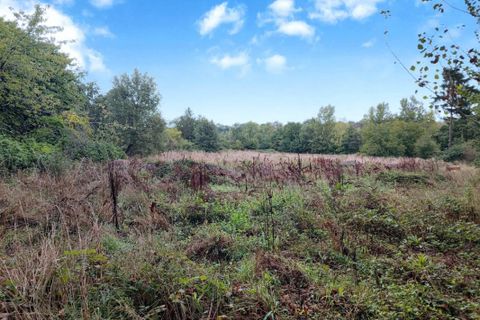 Villa i Saverdun, Ariege, Saverdun - € 395.000 | Ref: A998781DE4A44D97 - foto 19