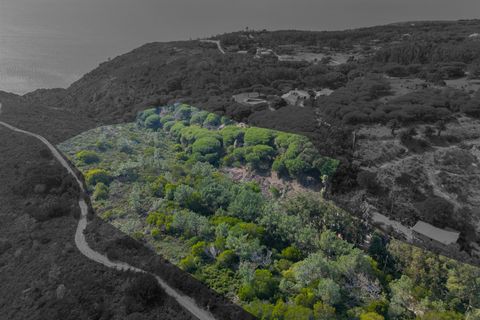 Helårsgrund i Sintra, Lisbon, Sintra - € 130.000 | Ref: DH812 - foto 9