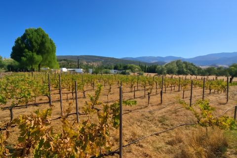 Villa a Ronda, Malaga, Ronda - € 695.000 | Ref: R5200048 - foto 30