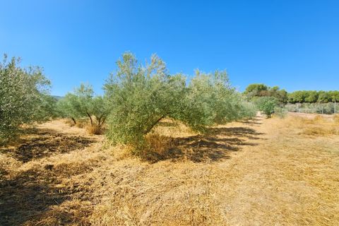 Villa a Ronda, Malaga, Ronda - € 695.000 | Ref: R5200048 - foto 38