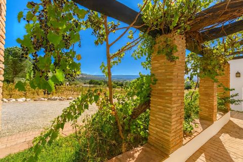 Villa a Ronda, Malaga, Ronda - € 695.000 | Ref: R5200048 - foto 39