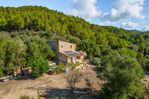 Cortijo i Andratx, Mallorca, Andratx - € 850.000 | Ref: SWOAND5375SAR - foto 18