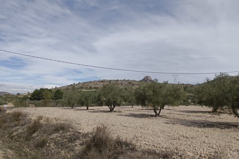 Helårsgrund i Salinas, Alicante, Salinas - € 90.000 | Ref: 67009-SS - foto 9