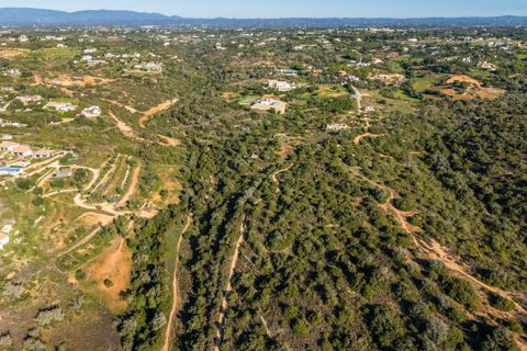 Helårsgrund i Lagoa, Faro, Lagoa - € 2.650.000 | Ref: SV2254A - foto 7