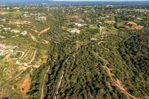 Helårsgrund i Lagoa, Faro, Lagoa - € 2.650.000 | Ref: SV2254A - foto 8