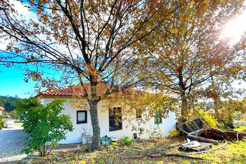 Farm i Gestaco, Porto, Gestaco - € 830.000 | Ref: RL-830-507 - foto 2