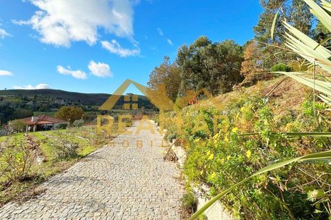 Farm i Gestaco, Porto, Gestaco - € 830.000 | Ref: RL-830-507 - foto 4
