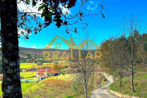 Farm i Gestaco, Porto, Gestaco - € 830.000 | Ref: RL-830-507 - foto 6