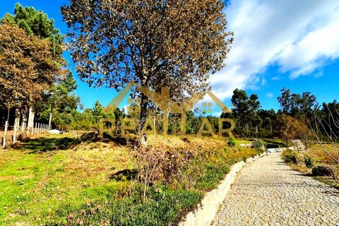 Farm i Gestaco, Porto, Gestaco - € 830.000 | Ref: RL-830-507 - foto 10