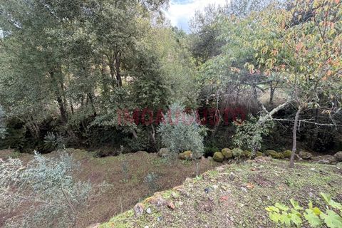 Villa i Gouveia, Guarda, Gouveia - € 129.000 | Ref: CAS_2341 - foto 36