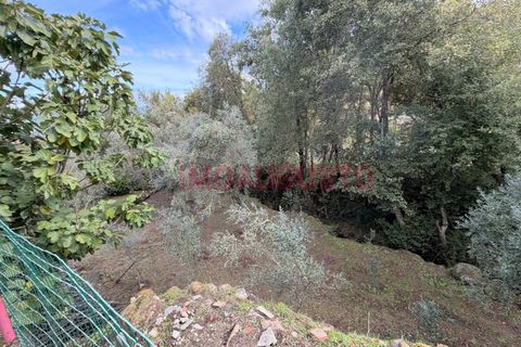 Villa i Gouveia, Guarda, Gouveia - € 129.000 | Ref: CAS_2341 - foto 37