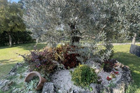 Erhvervsejendom i Ripi, Frosinone, Ripi - € 790.000 | Ref: 686 - foto 37