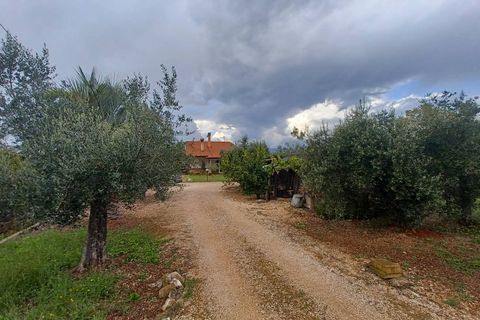 Villa i Priverno, Latina, Priverno - € 275.000 | Ref: 2123 - foto 41
