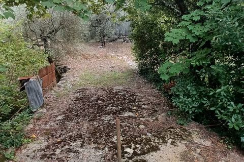 Terra a Sonnino, Latina, Sonnino - € 12.000 | Ref: 2124 - foto 4