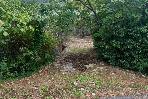 Terra a Sonnino, Latina, Sonnino - € 12.000 | Ref: 2124 - foto 5
