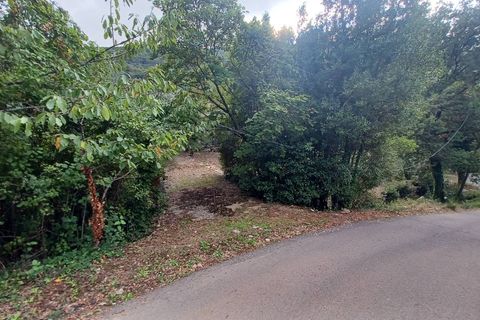 Terra a Sonnino, Latina, Sonnino - € 12.000 | Ref: 2124 - foto 6