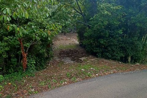 Terra a Sonnino, Latina, Sonnino - € 12.000 | Ref: 2124 - foto 7