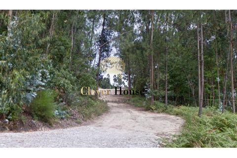 Helårsgrund i Guimaraes, Braga, Guimaraes - € 18.500 | Ref: SÒL_3211 - foto 1