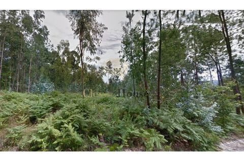 Helårsgrund i Guimaraes, Braga, Guimaraes - € 18.500 | Ref: SÒL_3211 - foto 2