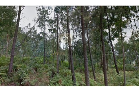 Helårsgrund i Guimaraes, Braga, Guimaraes - € 18.500 | Ref: SÒL_3211 - foto 3