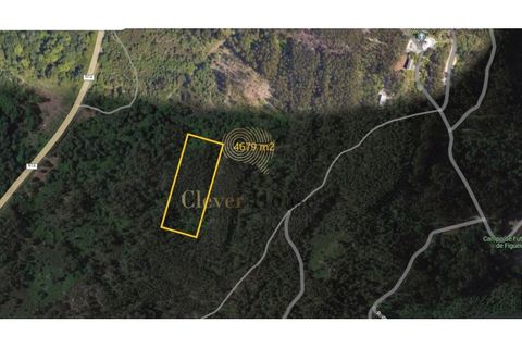 Helårsgrund i Guimaraes, Braga, Guimaraes - € 18.500 | Ref: SÒL_3211 - foto 4