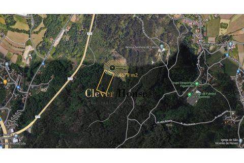 Helårsgrund i Guimaraes, Braga, Guimaraes - € 18.500 | Ref: SÒL_3211 - foto 5