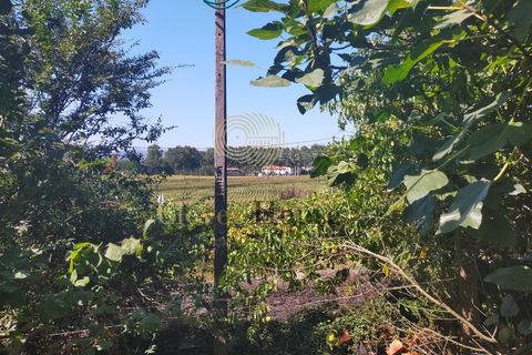 Villa a Barcelos, Braga, Barcelos - € 549.000 | Ref: HAB_2990 - foto 17