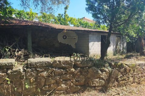 Villa a Barcelos, Braga, Barcelos - € 549.000 | Ref: HAB_2990 - foto 20