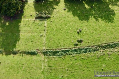 Terra a Taintrux, Vosges, Taintrux - € 18.500 | Ref: 999646-LIMMOBILIERE - foto 2
