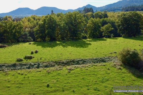 Terra a Taintrux, Vosges, Taintrux - € 18.500 | Ref: 999646-LIMMOBILIERE - foto 3