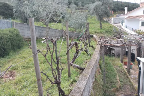 Villa i Covilha, Castelo Branco, Covilha - € 66.000 | Ref: C0473-00116 - foto 24