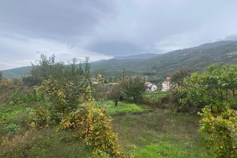 Helårsgrund i Covilha, Castelo Branco, Covilha - € 37.500 | Ref: C0473-00256 - foto 3